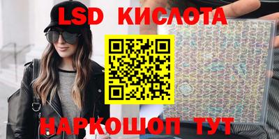 шишки Сланцы