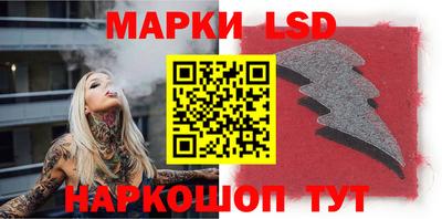 шишки Сланцы