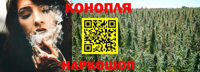 шишки Сланцы