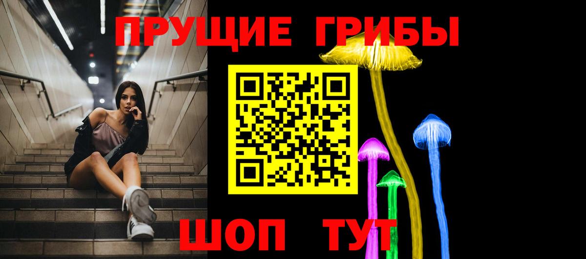 Псилоцибиновые грибы Psilocybe Барабинск